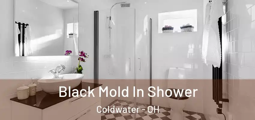Black Mold In Shower Coldwater - OH