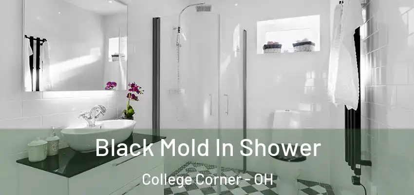  Black Mold In Shower College Corner - OH
