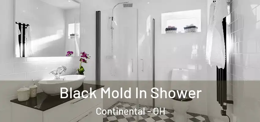 Black Mold In Shower Continental - OH