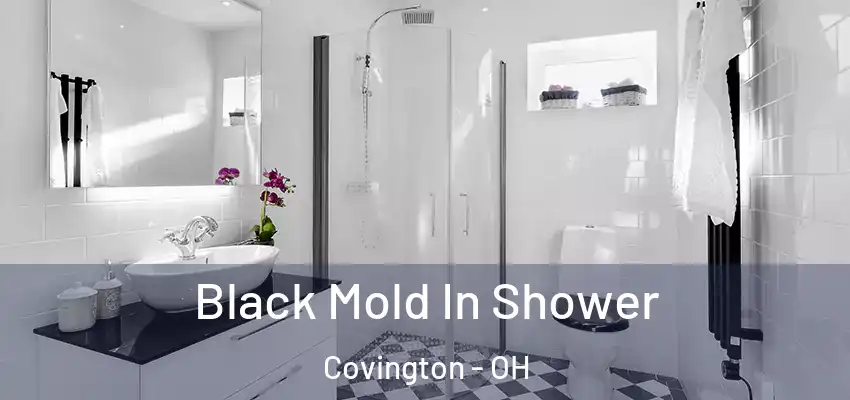 Black Mold In Shower Covington - OH