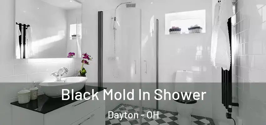  Black Mold In Shower Dayton - OH