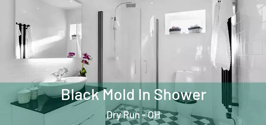 Black Mold In Shower Dry Run - OH