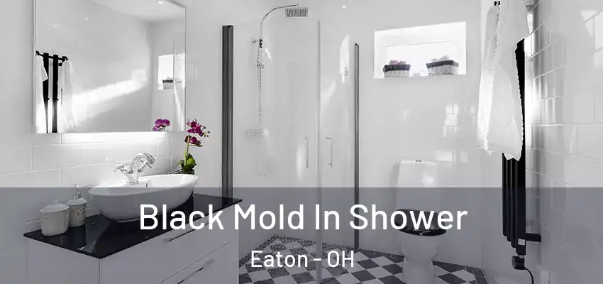  Black Mold In Shower Eaton - OH