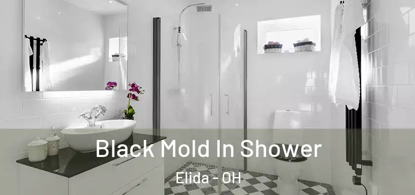 Black Mold In Shower Elida - OH