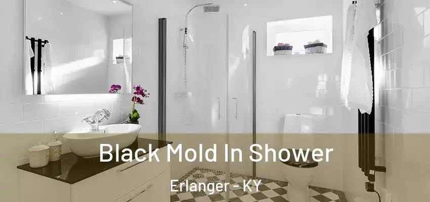  Black Mold In Shower Erlanger - KY