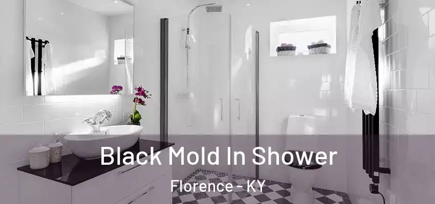 Black Mold In Shower Florence - KY
