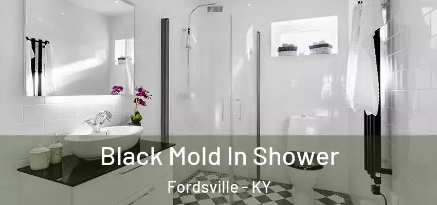 Black Mold In Shower Fordsville - KY