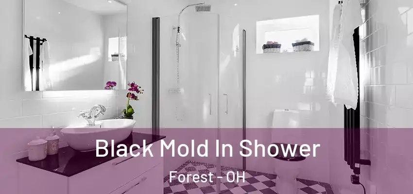 Black Mold In Shower Forest - OH