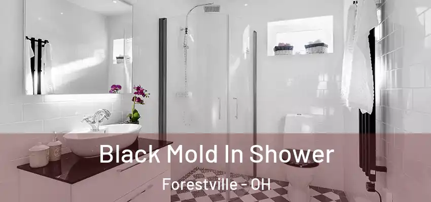  Black Mold In Shower Forestville - OH