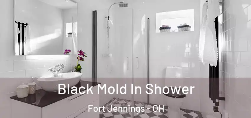  Black Mold In Shower Fort Jennings - OH