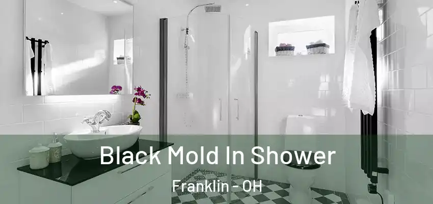 Black Mold In Shower Franklin - OH