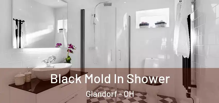  Black Mold In Shower Glandorf - OH