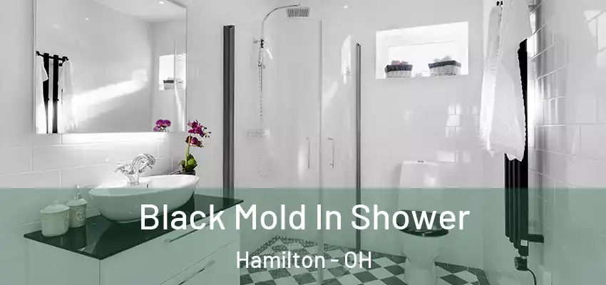 Black Mold In Shower Hamilton - OH