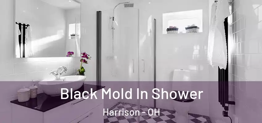 Black Mold In Shower Harrison - OH