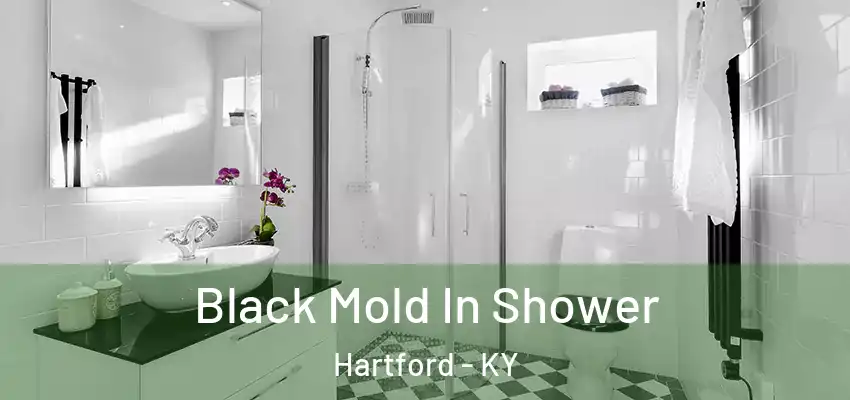  Black Mold In Shower Hartford - KY