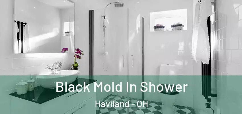  Black Mold In Shower Haviland - OH