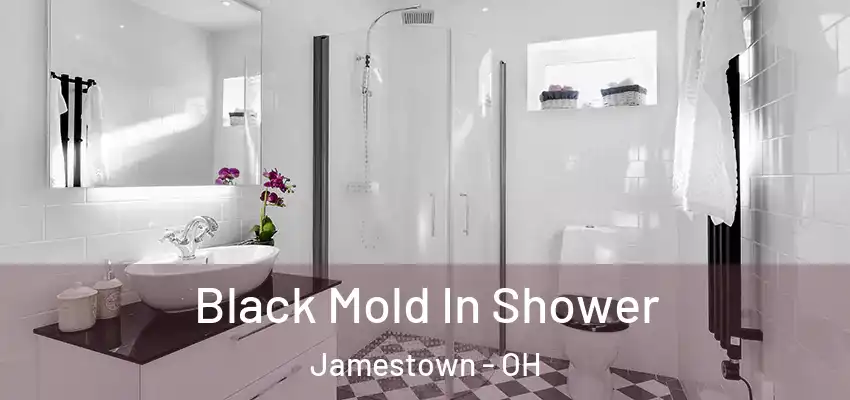  Black Mold In Shower Jamestown - OH