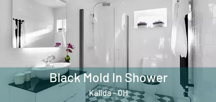Black Mold In Shower Kalida - OH