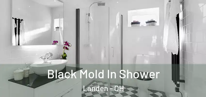  Black Mold In Shower Landen - OH