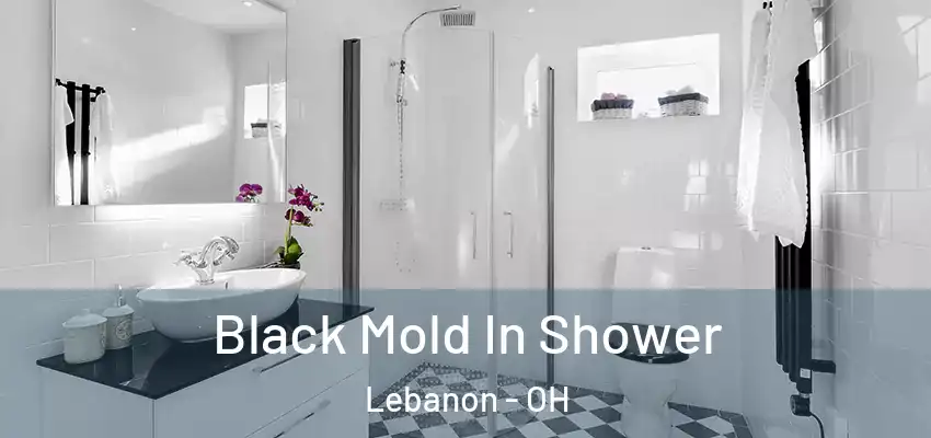  Black Mold In Shower Lebanon - OH