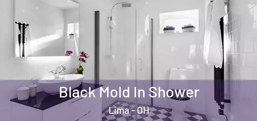 Black Mold In Shower Lima - OH