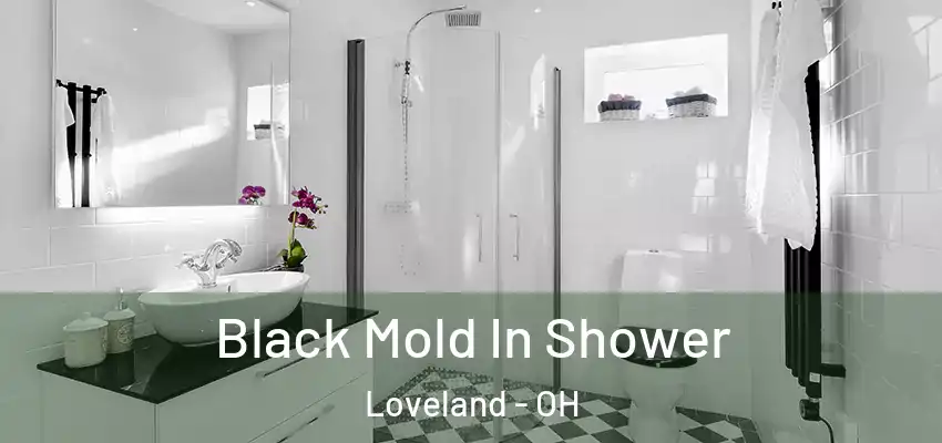  Black Mold In Shower Loveland - OH