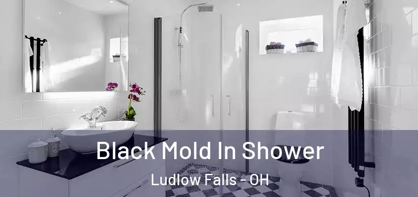  Black Mold In Shower Ludlow Falls - OH
