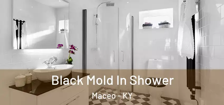  Black Mold In Shower Maceo - KY