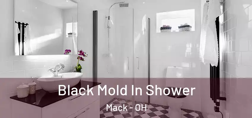 Black Mold In Shower Mack - OH
