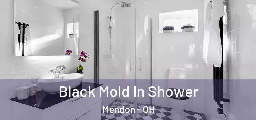 Black Mold In Shower Mendon - OH