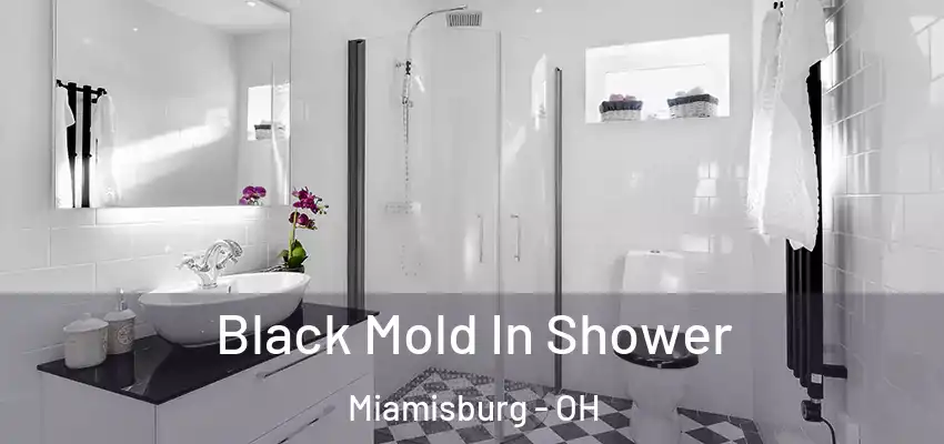  Black Mold In Shower Miamisburg - OH
