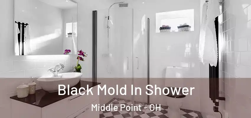 Black Mold In Shower Middle Point - OH