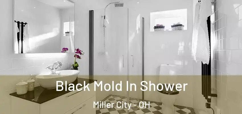  Black Mold In Shower Miller City - OH