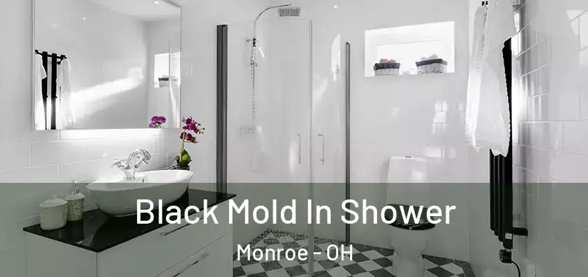 Black Mold In Shower Monroe - OH