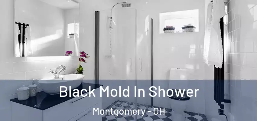  Black Mold In Shower Montgomery - OH