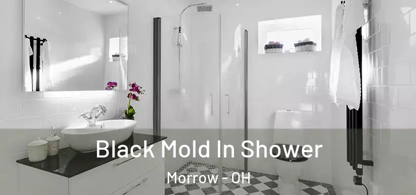 Black Mold In Shower Morrow - OH