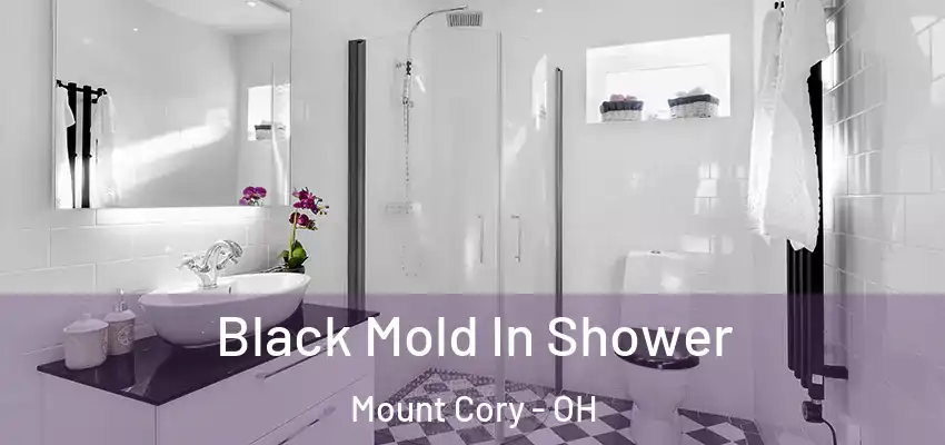 Black Mold In Shower Mount Cory - OH