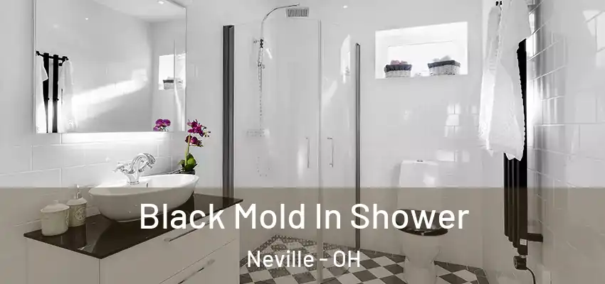  Black Mold In Shower Neville - OH