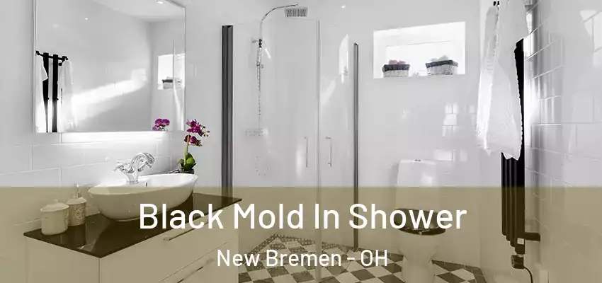  Black Mold In Shower New Bremen - OH
