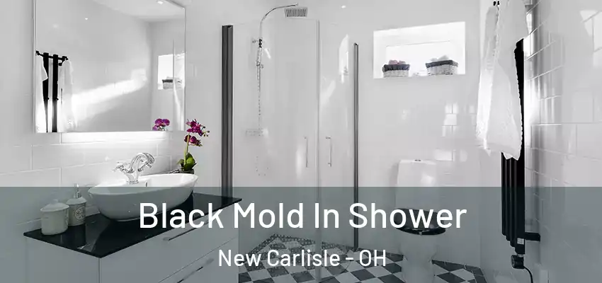  Black Mold In Shower New Carlisle - OH