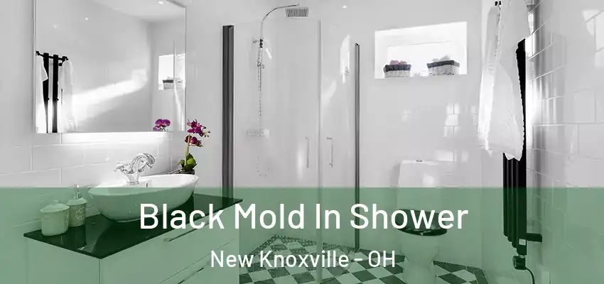 Black Mold In Shower New Knoxville - OH