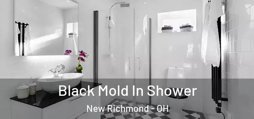  Black Mold In Shower New Richmond - OH