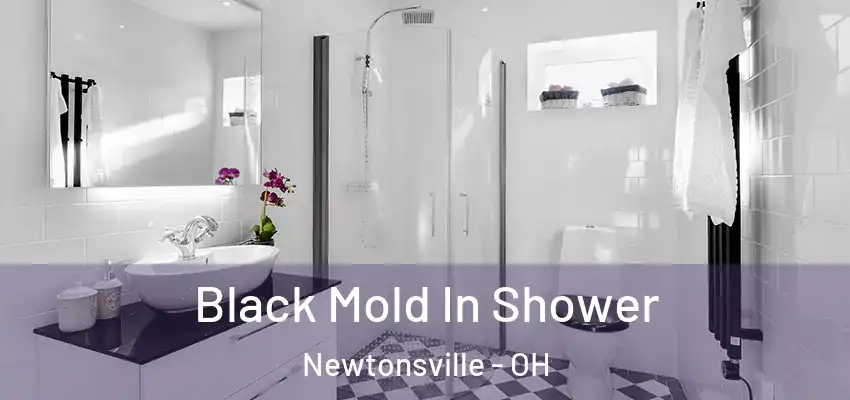  Black Mold In Shower Newtonsville - OH