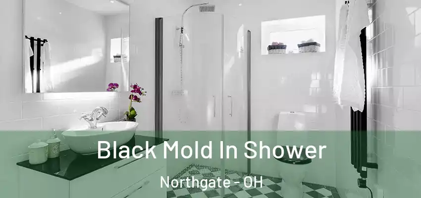 Black Mold In Shower Northgate - OH