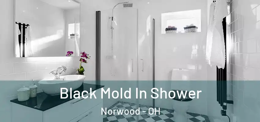 Black Mold In Shower Norwood - OH