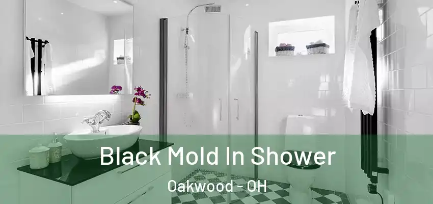  Black Mold In Shower Oakwood - OH