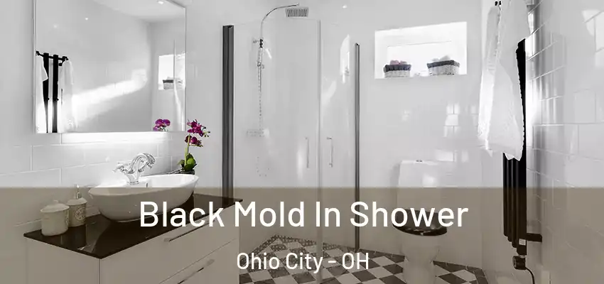  Black Mold In Shower Ohio City - OH