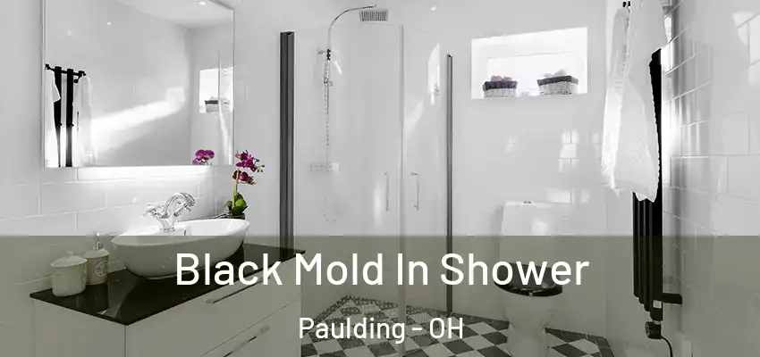 Black Mold In Shower Paulding - OH