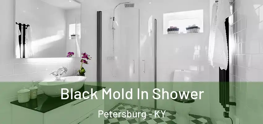  Black Mold In Shower Petersburg - KY