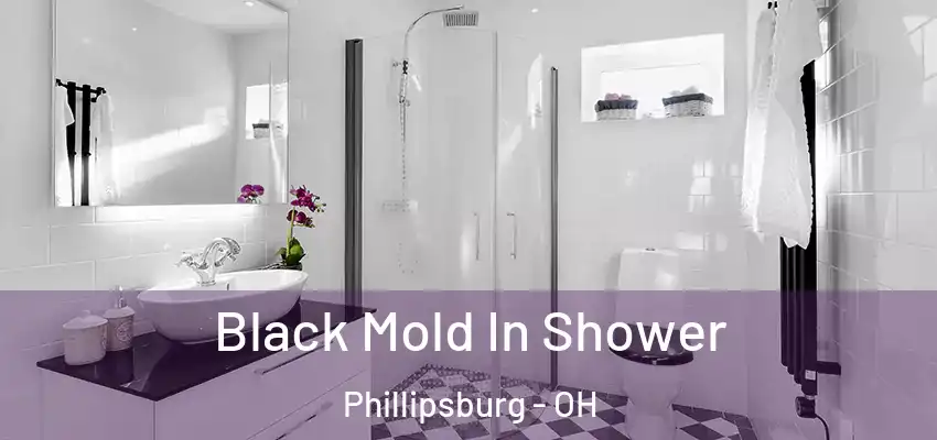  Black Mold In Shower Phillipsburg - OH